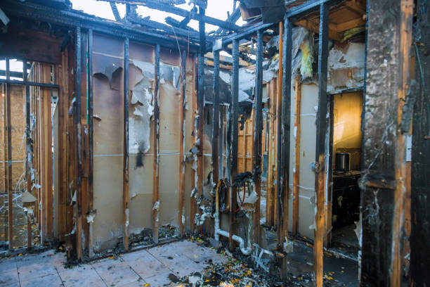 Professional Odor Removal technician working in Offutt AFB, NE
